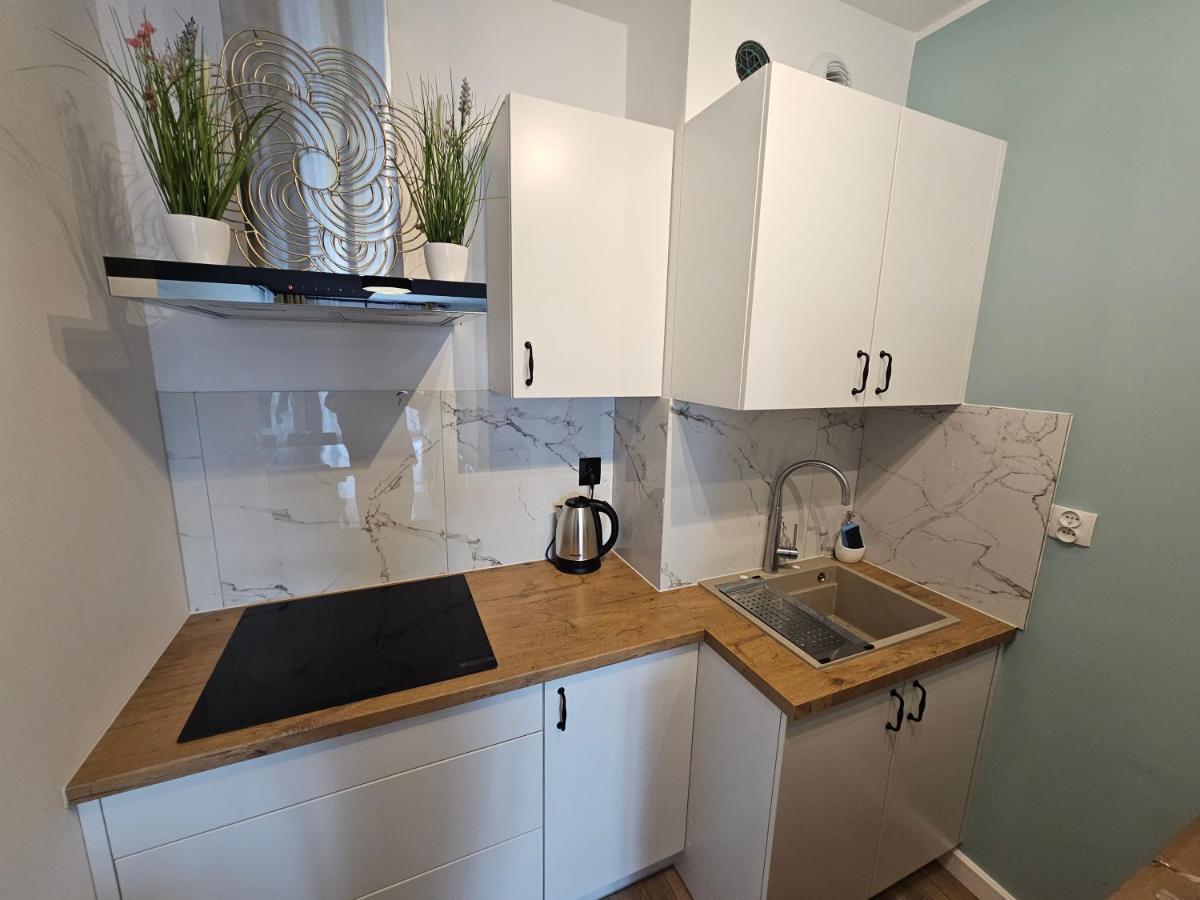 Michalczyka Apartament Вроцлав Екстер'єр фото